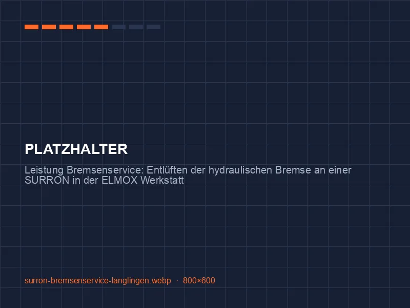 Entlüften der hydraulischen Bremse an einer SURRON in der ELMOX Werkstatt